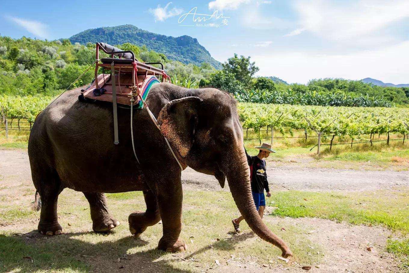 拥抱你的烈日暴雨，开启曼谷华新六日度假购物模式（下）