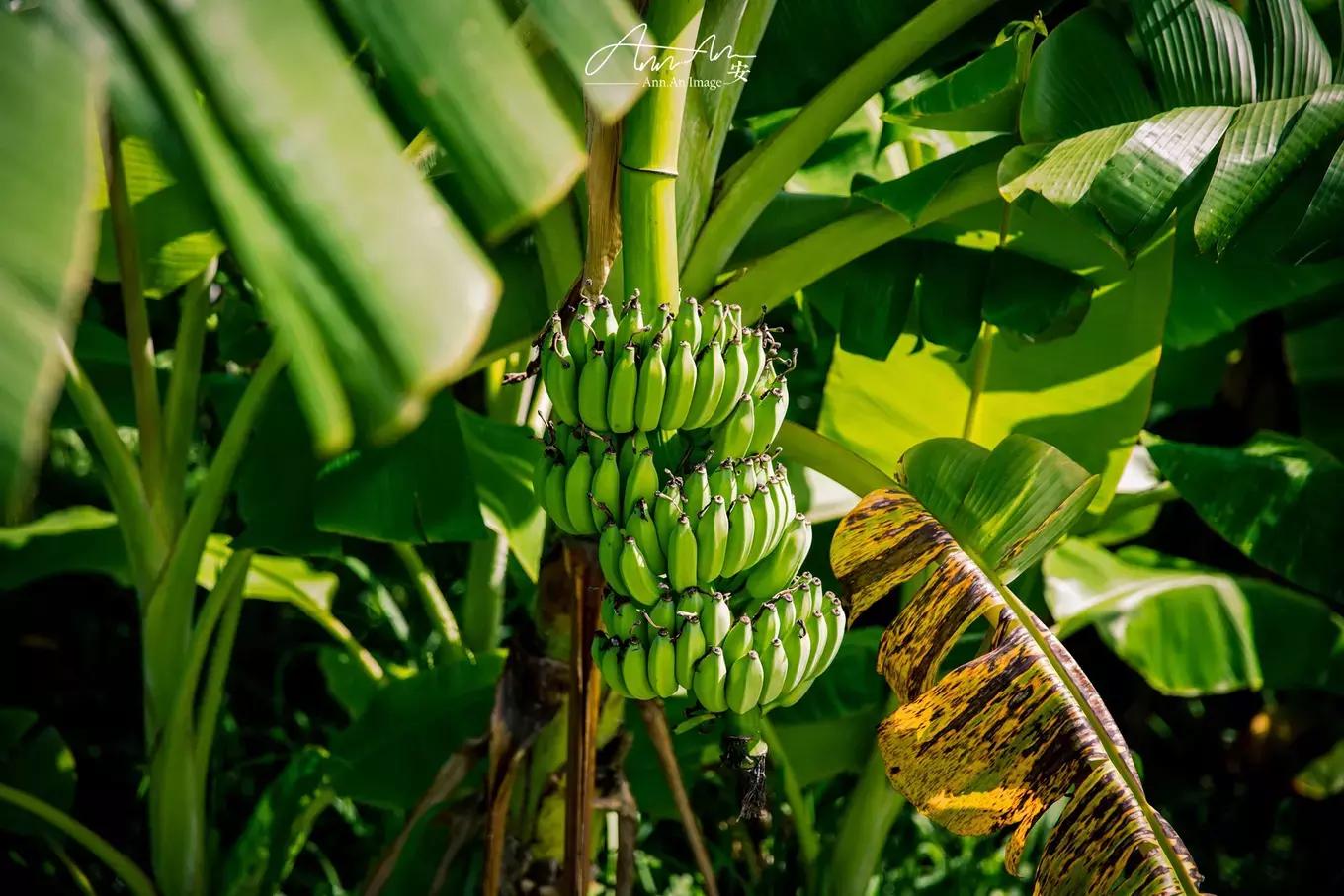 拥抱你的烈日暴雨，开启曼谷华新六日度假购物模式（下）