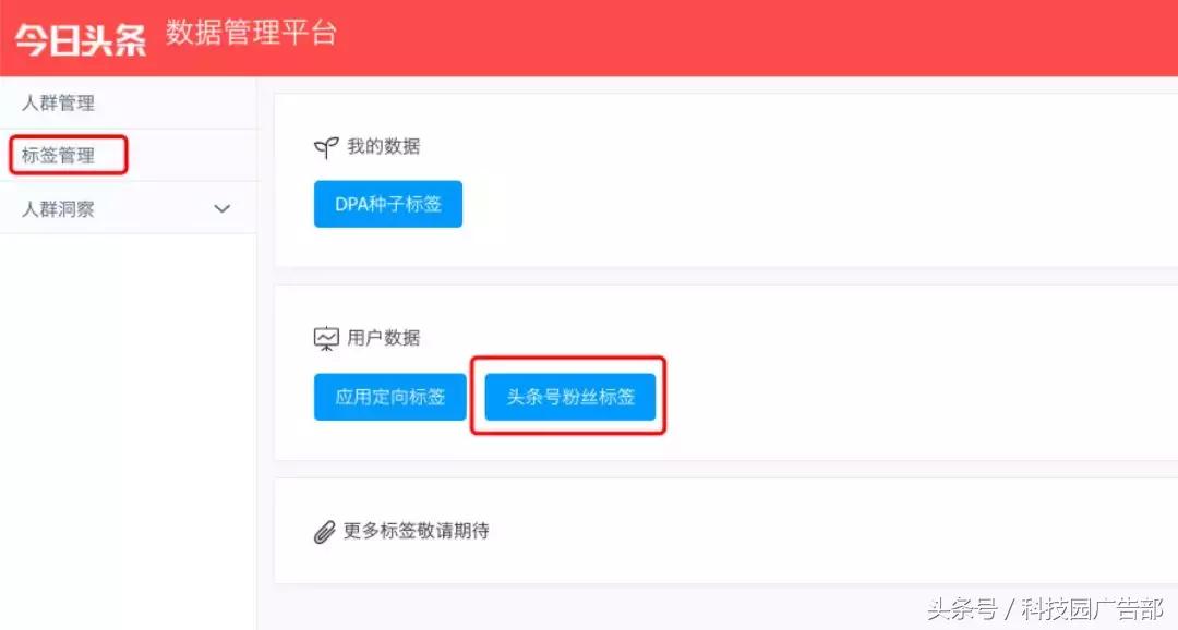 dmp怎么使用,dmp使用技巧大全