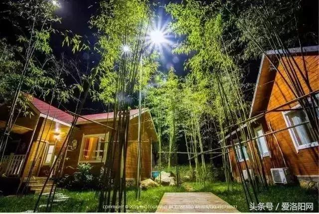 嵩县这条鲜为人知的绝美路线，隐秘在山林间，高速免费不容错过！