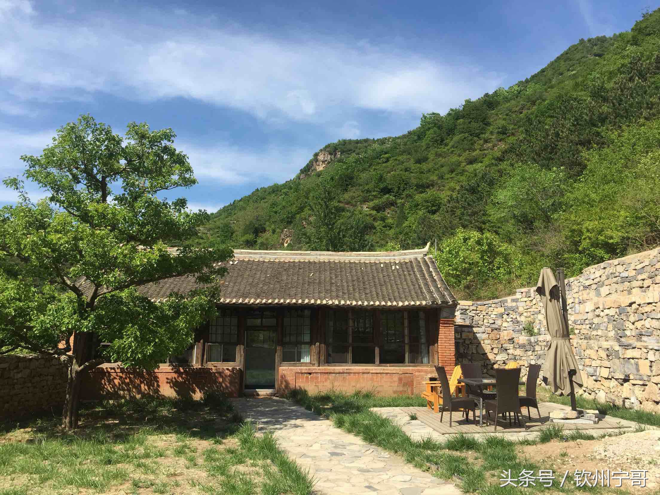 村里恶婆婆,三个恶婆骂村长