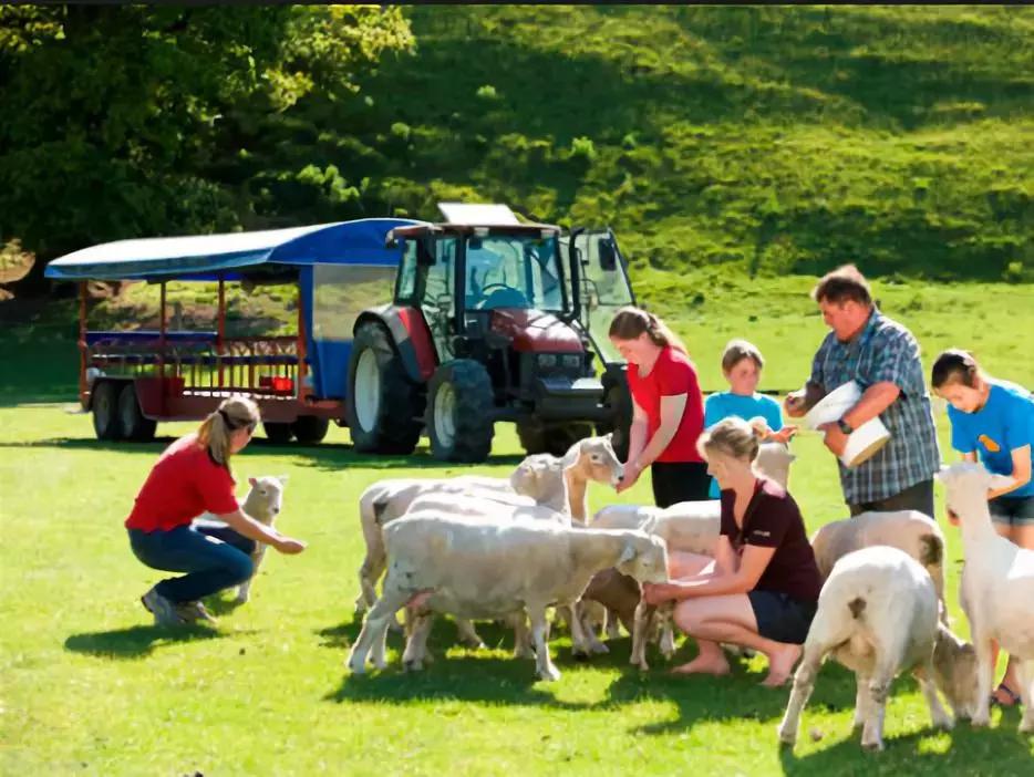新西兰纯净之旅,10天时间旅游攻略