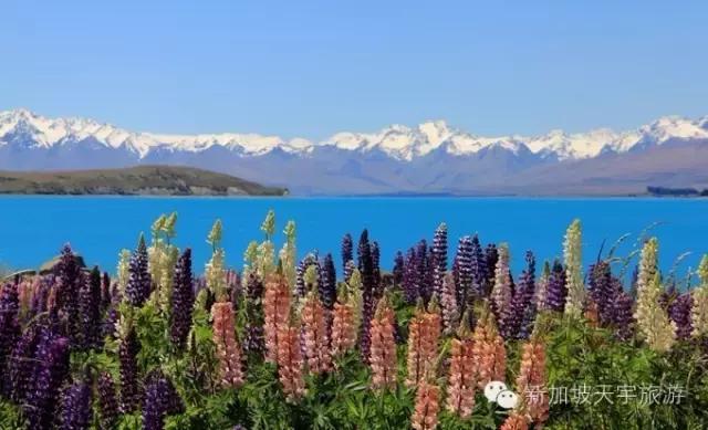 新西兰纯净之旅,10天时间旅游攻略