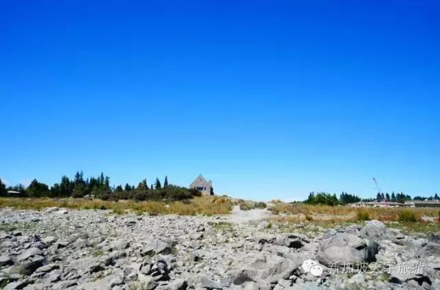 新西兰纯净之旅,10天时间旅游攻略