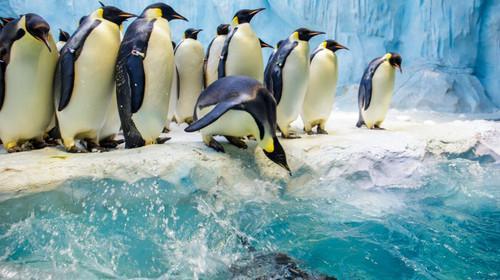 暑期陪娃游长隆海洋王国,这个暑假去珠海海洋王国多人吗