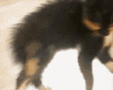 两边头发怎么变蓬松不用发胶,卷头发到底用什么发胶定型不会塌