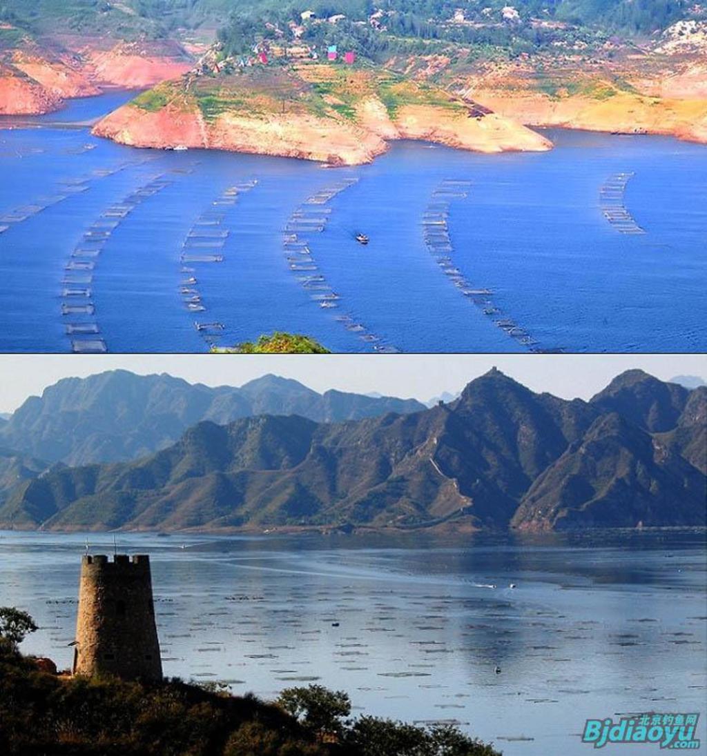 我的筏钓之乐全集,我的筏钓之乐完整版