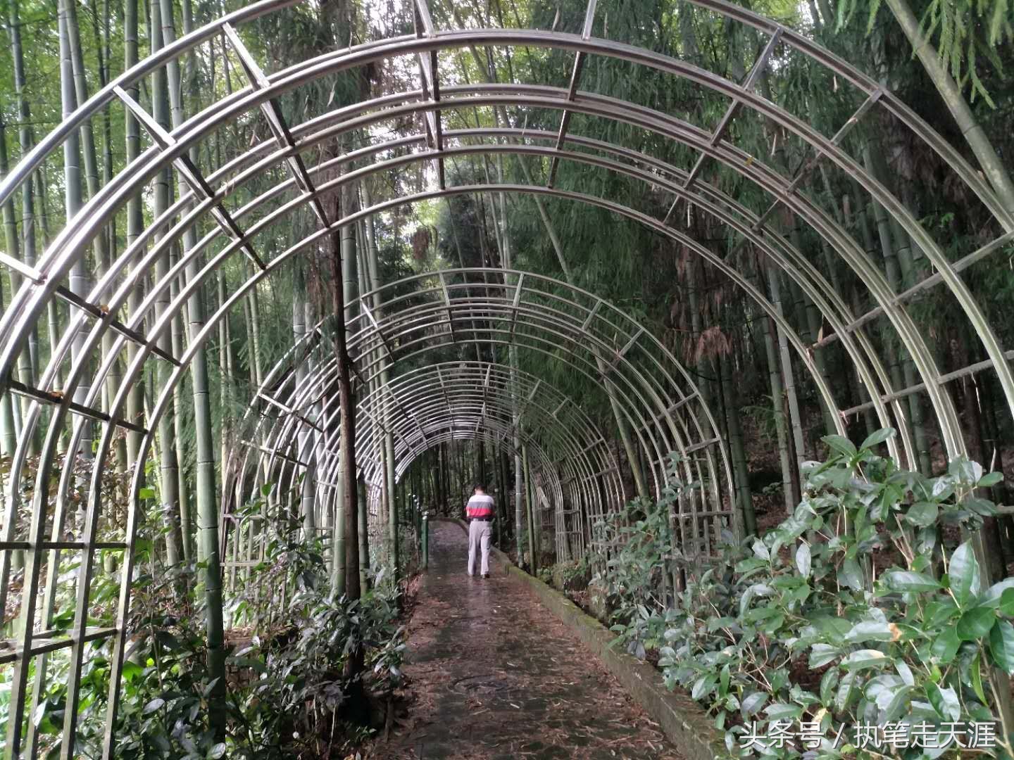 曾经成都人首选的度假小镇大邑花水湾，现在怎么样了？