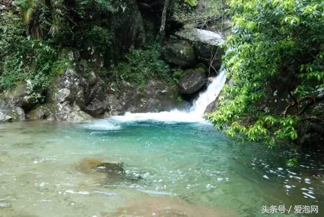 江浙沪深山老林旅游最好去处,清凉避暑好去处森林氧吧