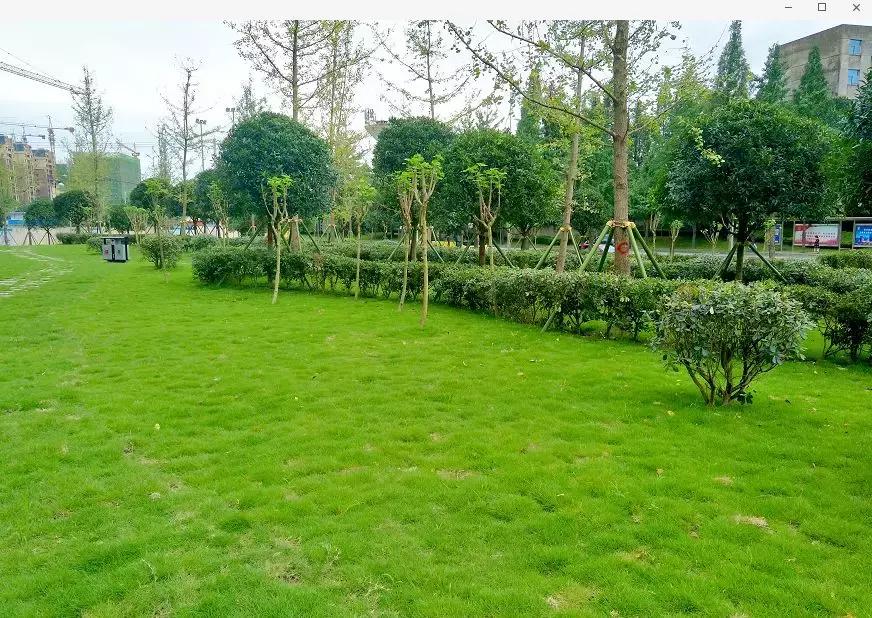 双流新增公园,双流新城区有哪些公园