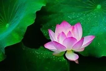 燕京u8啤酒节台江,赤峰燕京u8啤酒节