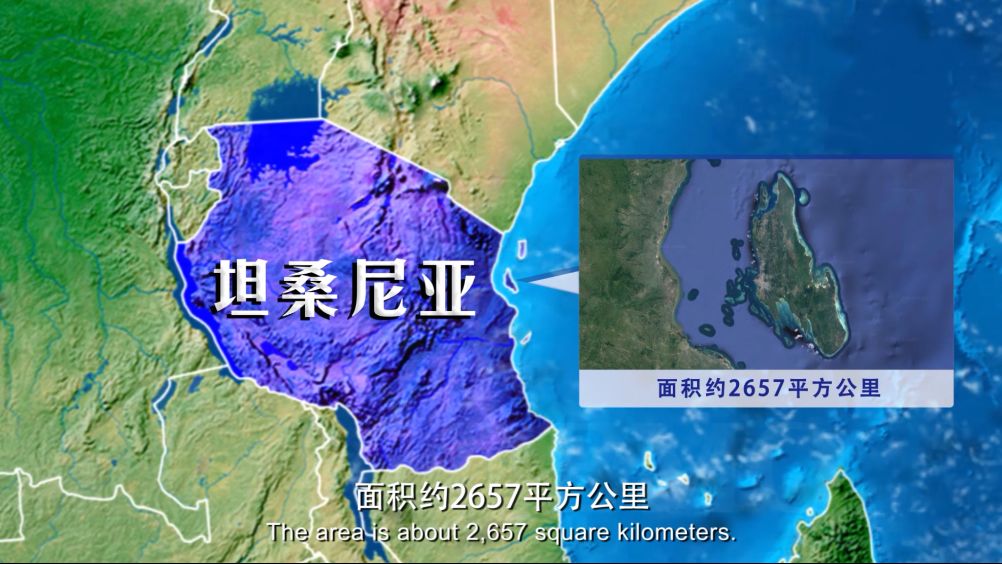 东博会展会美食,东博会重要合作伙伴