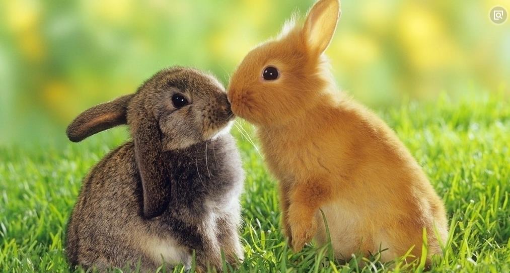 大姨妈来了男朋友想见面,大姨妈来了男朋友要约会怎么回