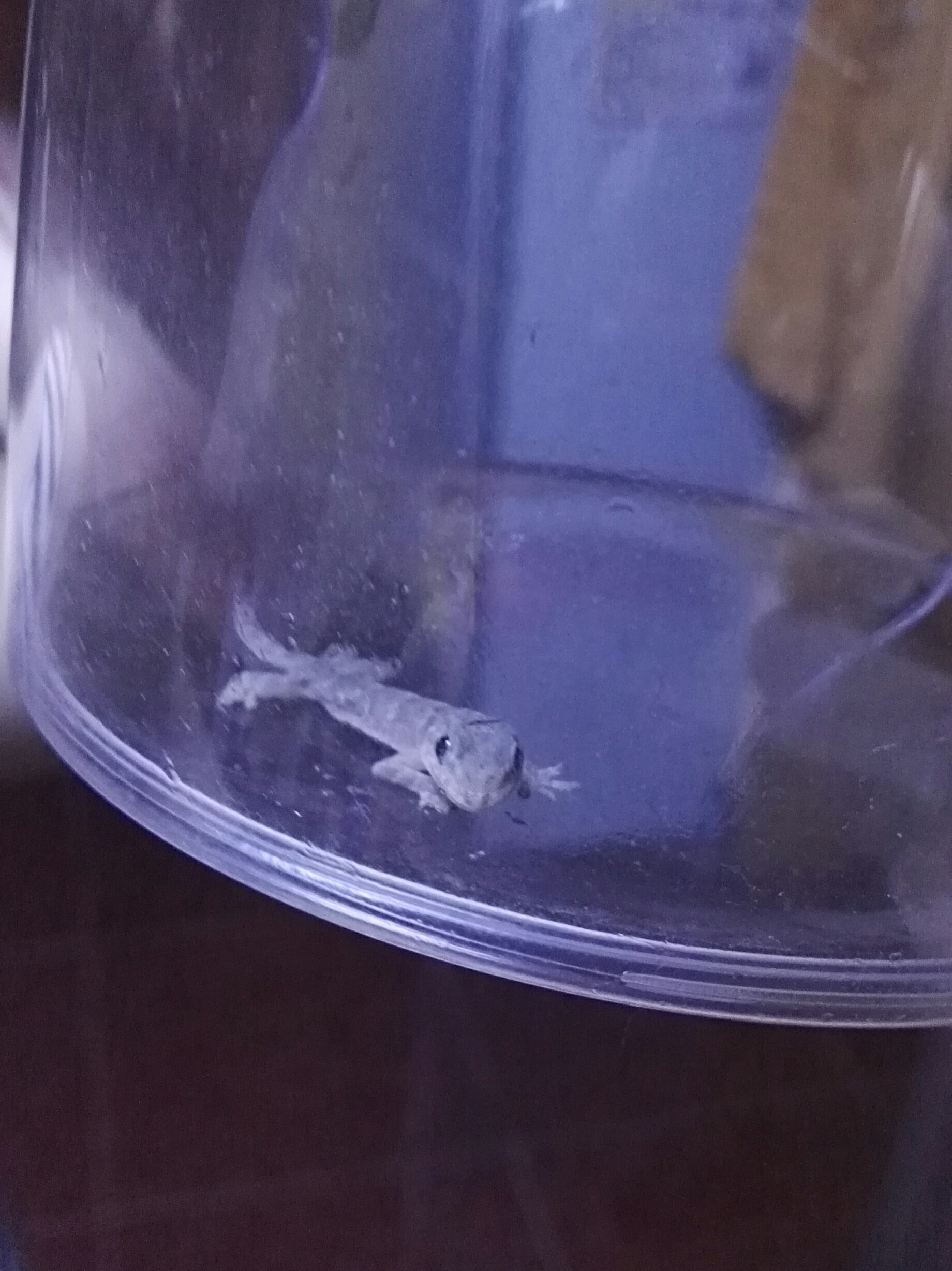 运气有路熬为径，经营景气勤做粥