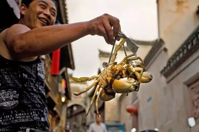 浙江体验感强的景点,浙江可以体验生活的地方