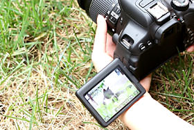 佳能单反相机操作使用设置教程,单反相机新手基础教程佳能