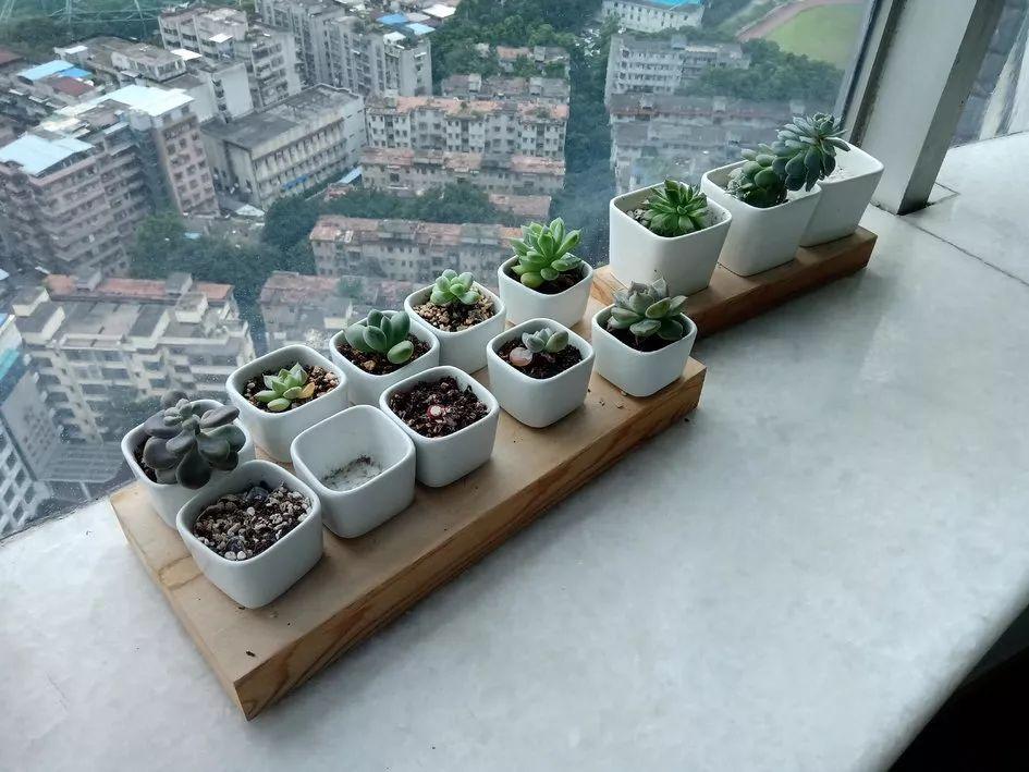 诺基亚手机2023最新款千元机,诺基亚支持nfc的千元机