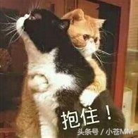 小苍生日,小苍过生日