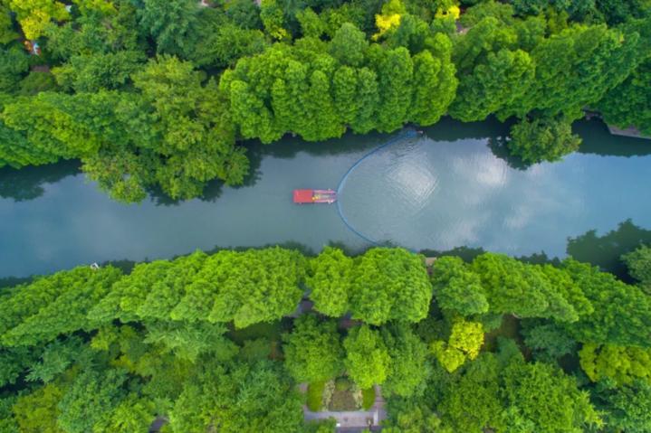 陈卫强杭州,杭州市人民政府陈卫强