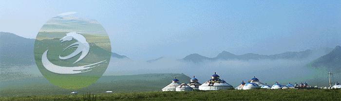关注｜2018年内蒙古自治区青少年雪地足球赛闭幕通辽女子代表队勇夺冠军