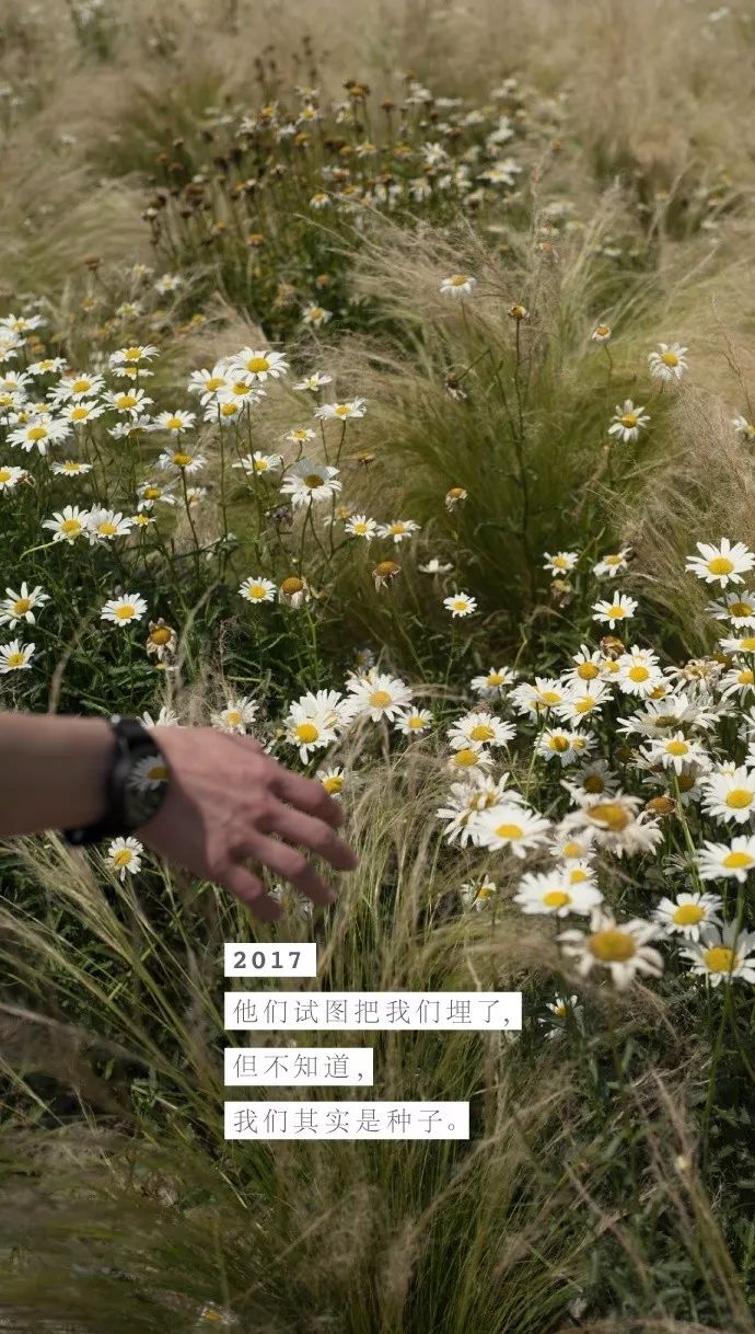 淘宝逛逛赚钱文案怎么写,淘宝文案一天工作量多少