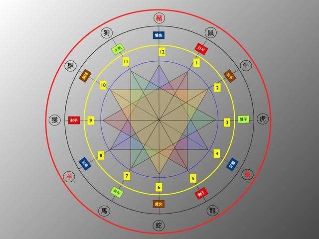 十二生肖蛇最好的婚配属相,十二生肖马婚配对象属相表