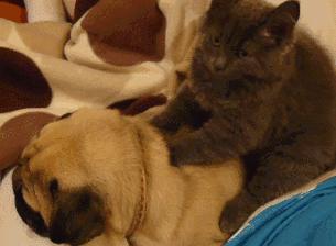 她按个摩“花”了十几万，差点偏瘫！这2个部位很脆弱，别乱按