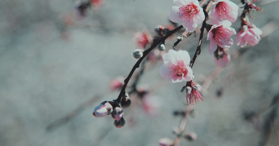 嫌我变老男友提分手，5年后求复合却是让我帮他上位