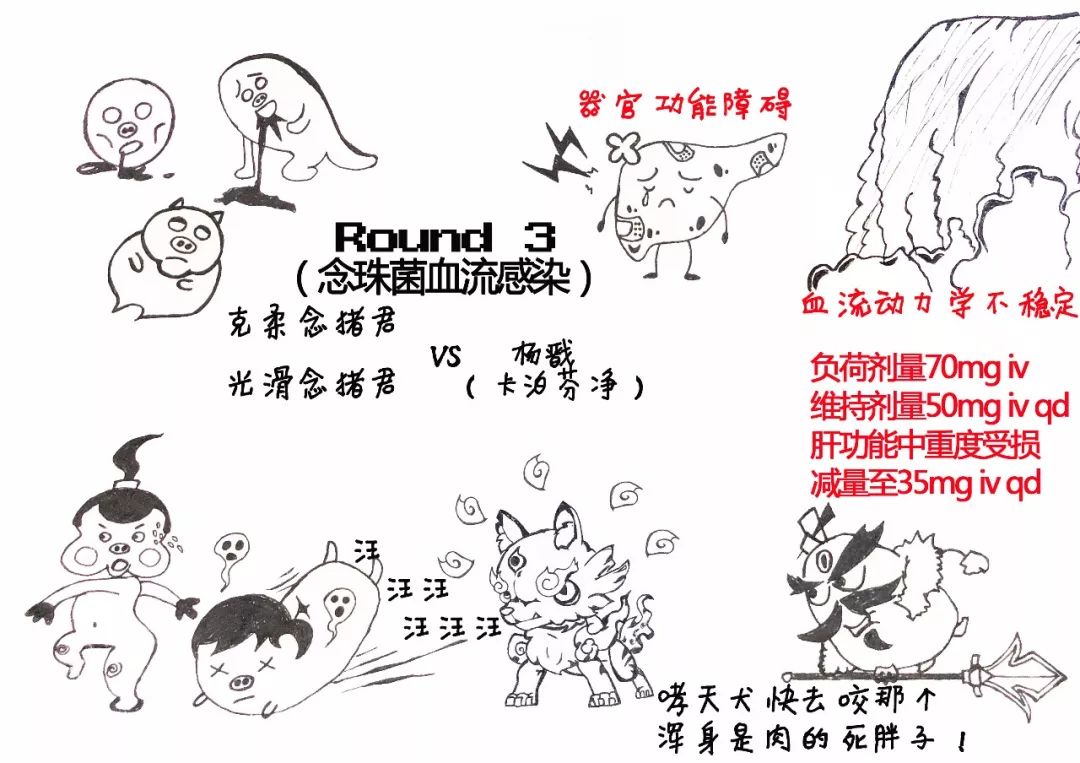 念珠菌的封神榜，这个漫画太精彩了！