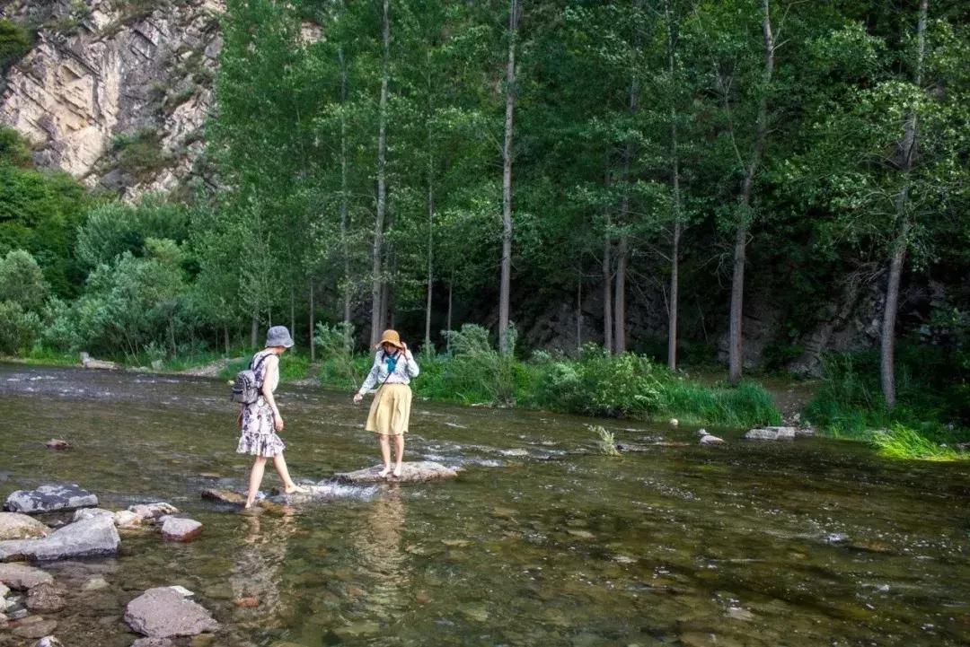百里山水画廊四季花海,周末美好时光畅游千亩花海