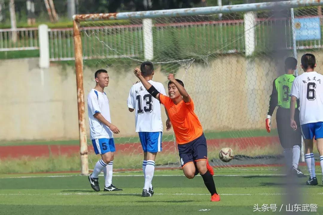 鍗＋鍔ㄥ姏鏉冻鐞冭禌涓存矀鏀槦,鍗＋鍔ㄥ姏