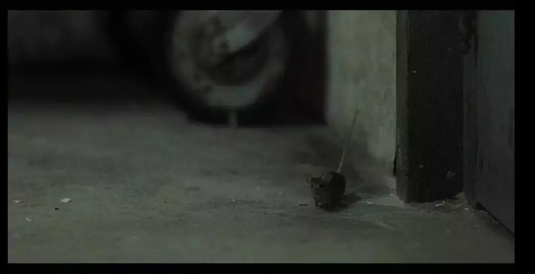 恐怖片迷过大年了，美剧拍出斯蒂芬·金宇宙