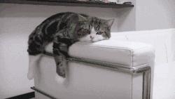 深夜必点的平价外卖,天冷适合吃什么热乎的外卖