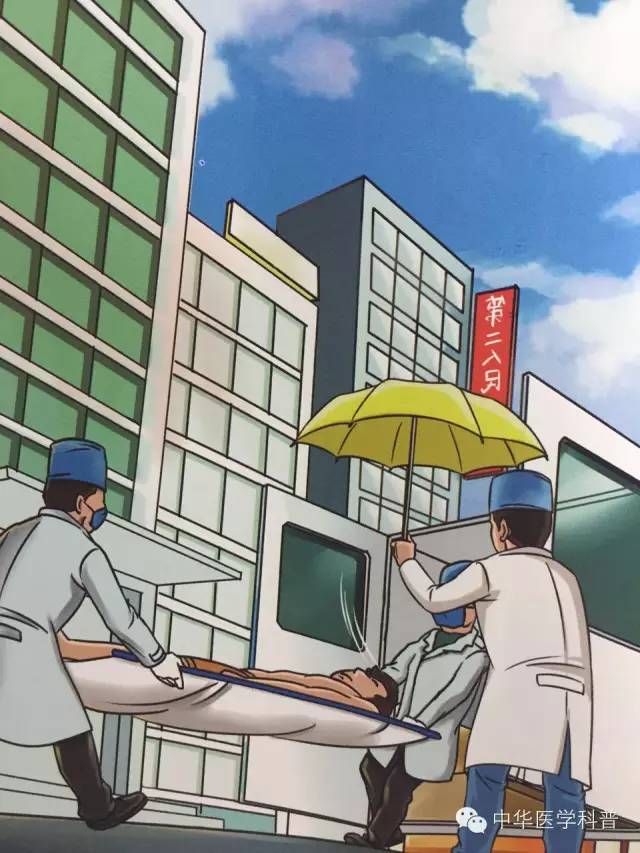 家庭急救与护理知识中暑,猫中暑的急救常识