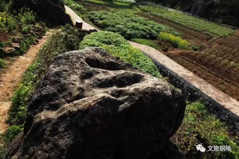 五常市凤凰山景区门票有半价票吗,现在凤凰山景区要门票吗
