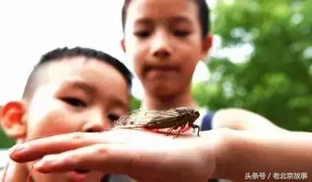 这么热的伏天儿，过去没有空调，北京人如何过的？