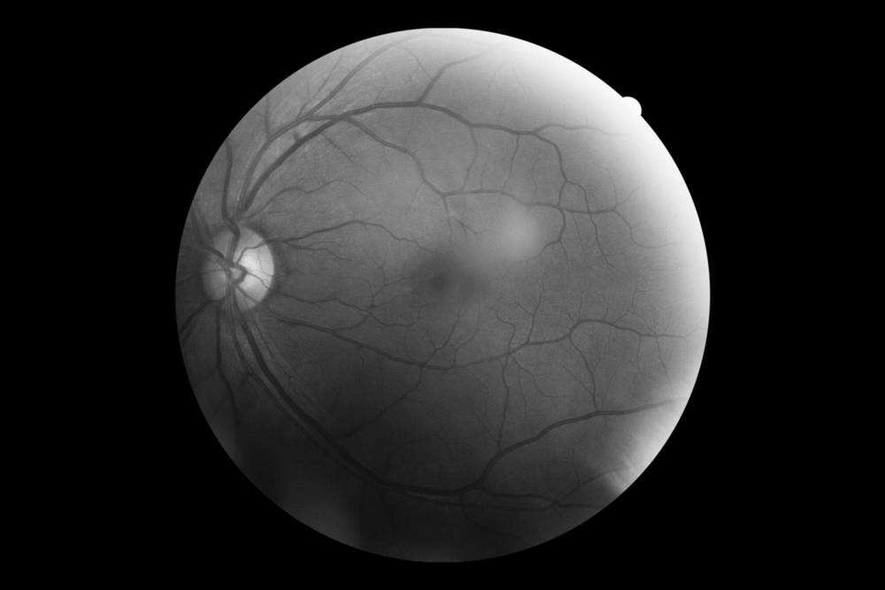 大脑是怎么欺骗你的,大脑欺骗我们的常用方式