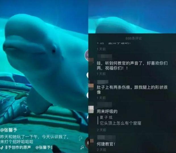 成为军嫂的张馨予让人羡慕,张馨予当军嫂嫁给特种兵