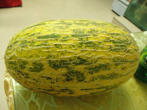 *疆新**（六）——梦牵大西北13