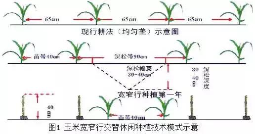 一亩地一年可以赚多少,一亩地利润如何