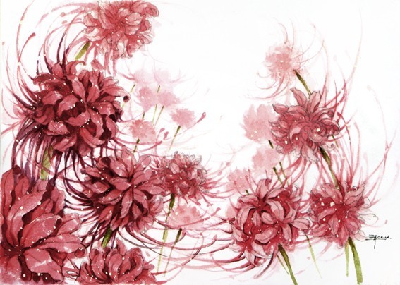 曼珠沙华是不是石蒜花,曼珠沙华和大蒜