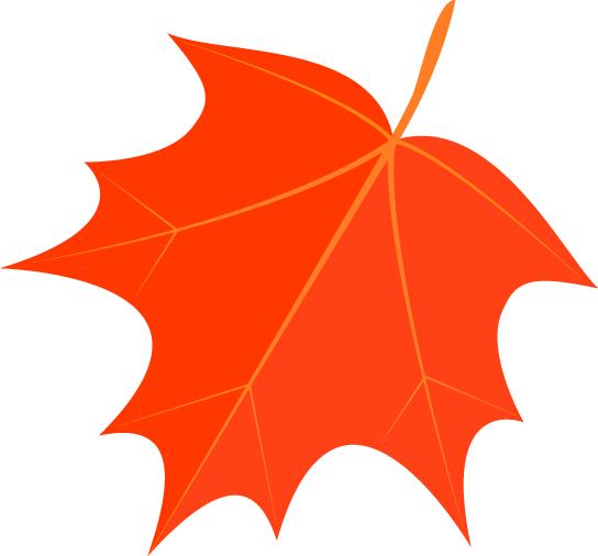 小学体育见习日志,学前教育见习日志