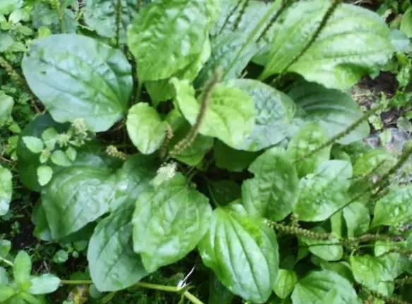 南阳人还去什么医院?你脚底下就是药房!