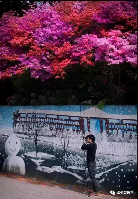 醉美中国——江苏