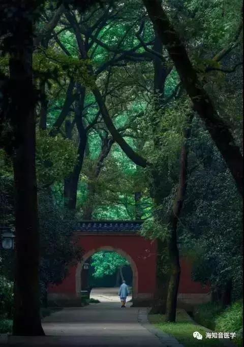 醉美中国——江苏