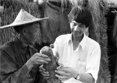 袁隆平杂交水稻之父热点,彭兆旺主要事迹