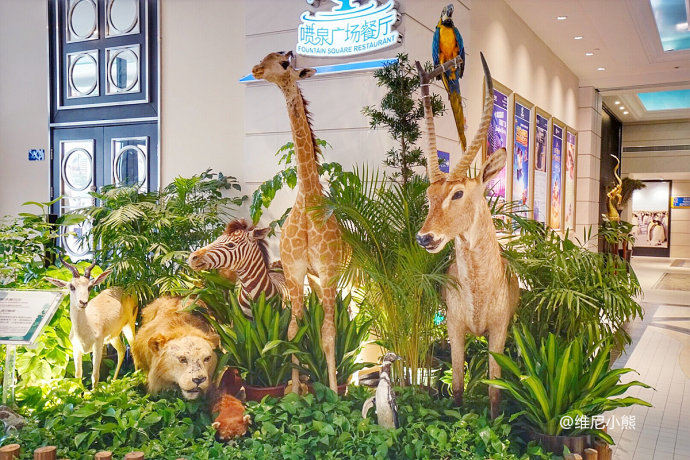 暑假珠海长隆最全游玩攻略,珠海长隆海洋王国暑假门票多少钱