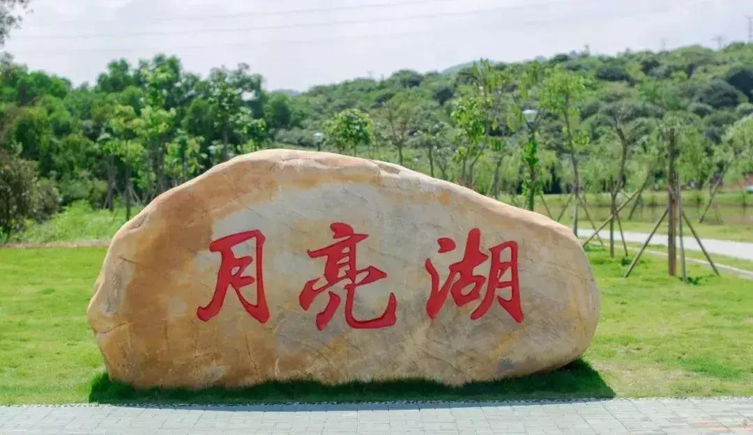 深圳足球公园免费开放,深圳南山免费足球场