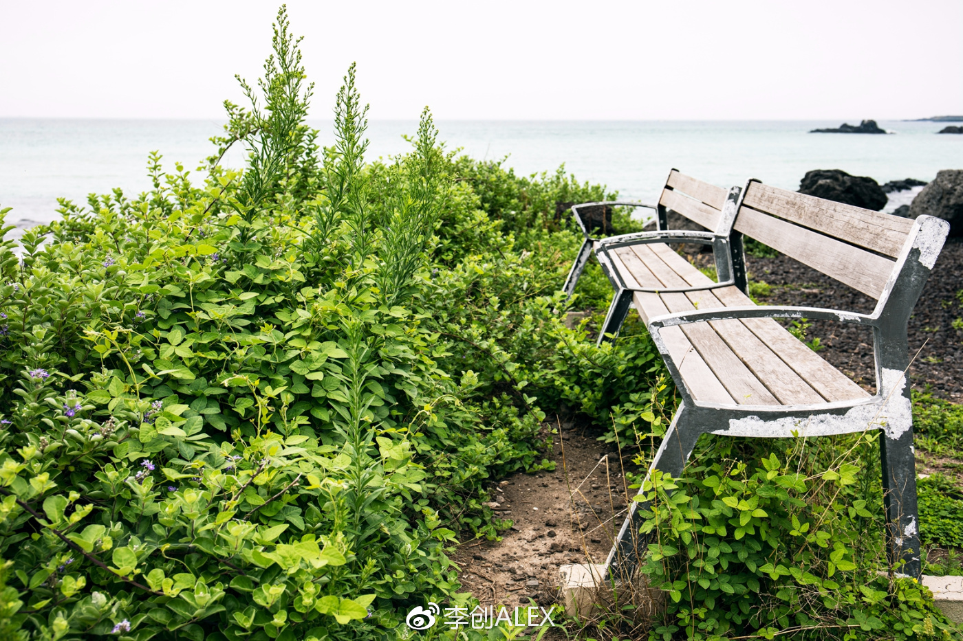 济州岛即将上演的童话世界,去济州岛旅行的感受