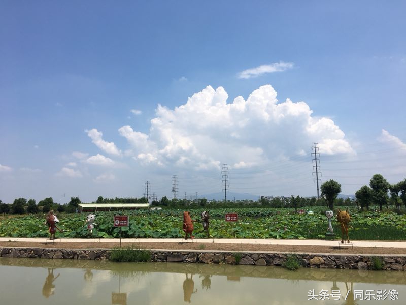 「摄影」义乌的夏日乐园